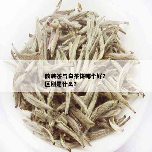 散装茶与白茶饼哪个好? 区别是什么?