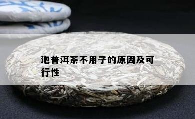 泡普洱茶不用子的原因及可行性