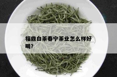 福鼎白茶春宁茶业怎么样好喝？