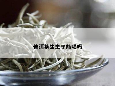 普洱茶生虫子能喝吗