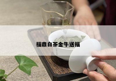 福鼎白茶金牛送福