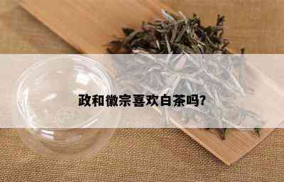 政和徽宗喜欢白茶吗？