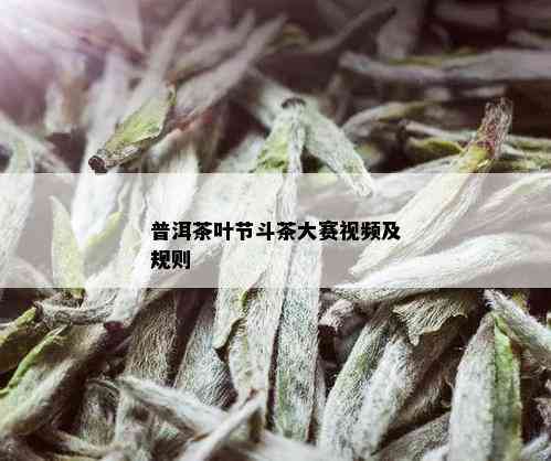 普洱茶叶节斗茶大赛视频及规则