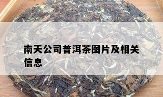 南天公司普洱茶图片及相关信息