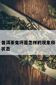 普洱茶变坏是怎样的现象和状态