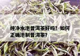 纯净水泡普洱茶好吗？如何正确泡制普洱茶？