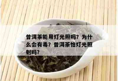 普洱茶能用灯光照吗？为什么会有？普洱茶怕灯光照射吗？