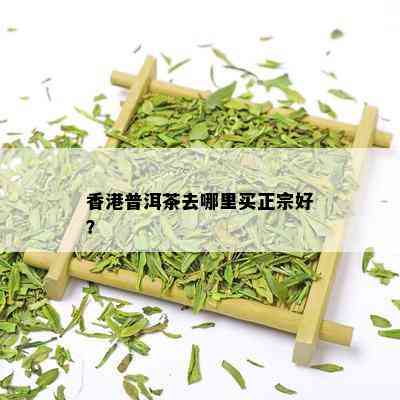 香港普洱茶去哪里买正宗好？