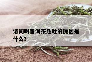 请问喝普洱茶想吐的原因是什么？