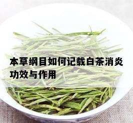 本草纲目如何记载白茶消炎功效与作用