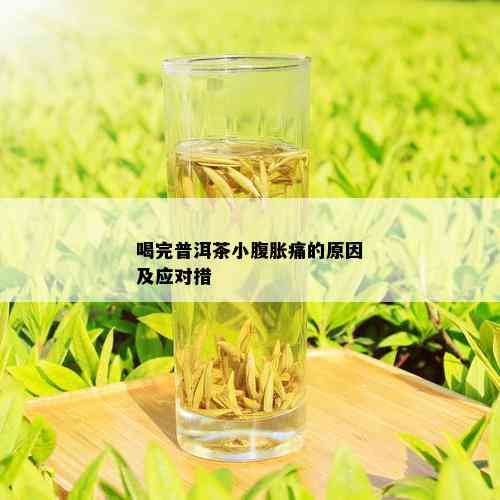 喝完普洱茶小腹胀痛的原因及应对措