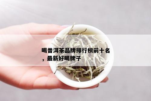 喝普洱茶品牌排行榜前十名，最新好喝牌子