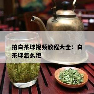 拍白茶球视频教程大全：白茶球怎么泡