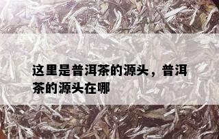 这里是普洱茶的源头，普洱茶的源头在哪