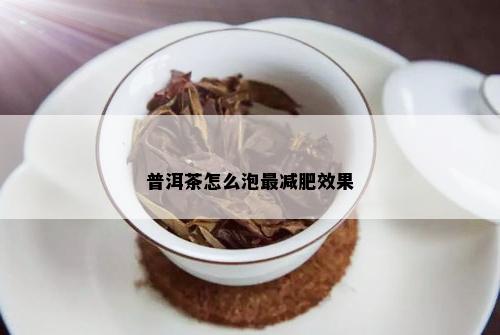 普洱茶怎么泡最减肥效果