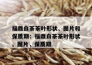 福鼎白茶茶叶形状、图片和保质期：福鼎白茶茶叶形状、图片，保质期