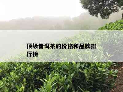 顶级普洱茶的价格和品牌排行榜