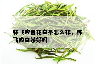 林飞应金花白茶怎么样，林飞应白茶好吗