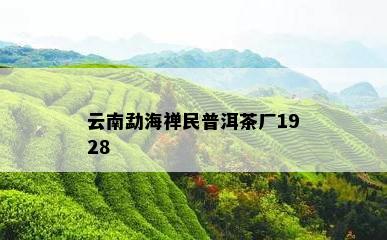 云南勐海禅民普洱茶厂1928