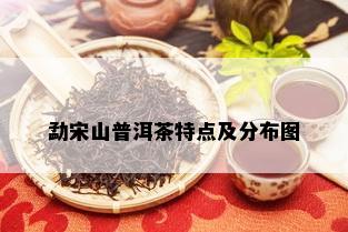 勐宋山普洱茶特点及分布图