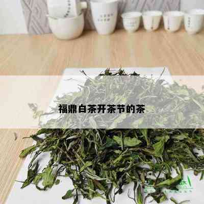 福鼎白茶开茶节的茶