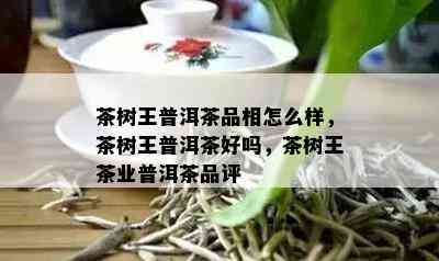 茶树王普洱茶品相怎么样，茶树王普洱茶好吗，茶树王茶业普洱茶品评