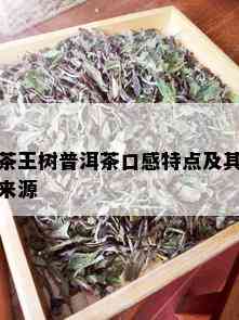 茶王树普洱茶口感特点及其来源