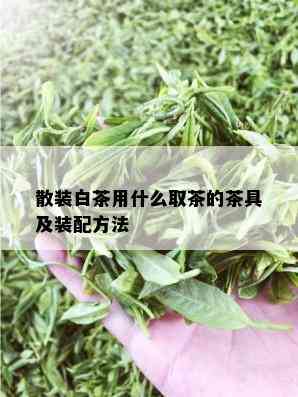 散装白茶用什么取茶的茶具及装配方法