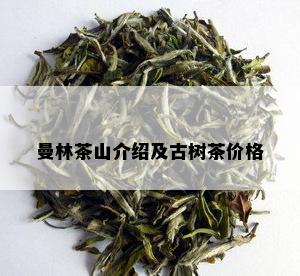 曼林茶山介绍及古树茶价格