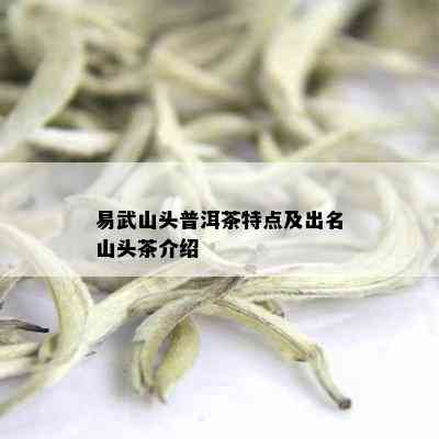 易武山头普洱茶特点及出名山头茶介绍