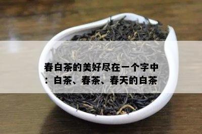 春白茶的美好尽在一个字中：白茶、春茶、春天的白茶