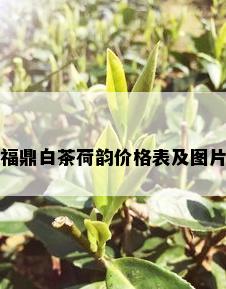 福鼎白茶荷韵价格表及图片