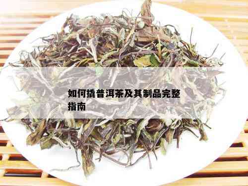 如何撬普洱茶及其制品完整指南