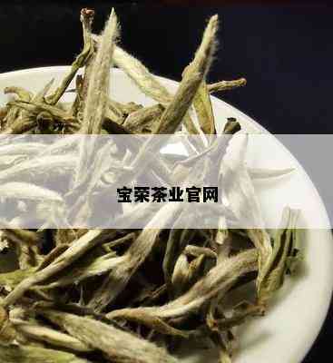 宝荣茶业官网