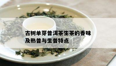 古树单芽普洱茶生茶的香味及熟普与生普特点