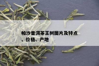 帕沙普洱茶王树图片及特点、价格、产地