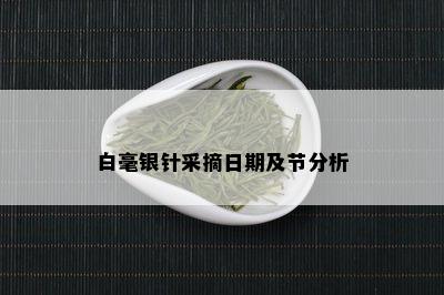 白毫银针采摘日期及节分析