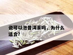 瓷可以泡普洱茶吗，为什么适合？