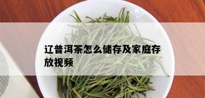 辽普洱茶怎么储存及家庭存放视频