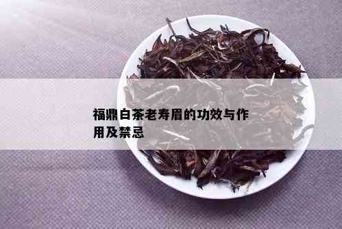 福鼎白茶老寿眉的功效与作用及禁忌