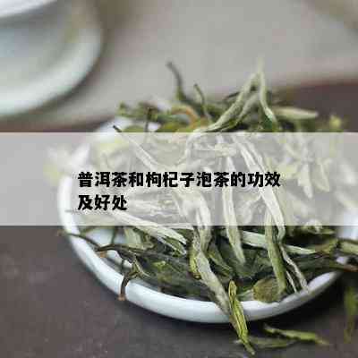 普洱茶和枸杞子泡茶的功效及好处