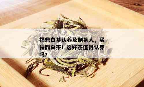 福鼎白茶认养及制茶人，买福鼎白茶！这好茶值得认养吗？