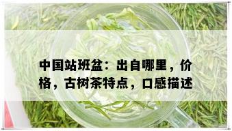 中国站班盆：出自哪里，价格，古树茶特点，口感描述