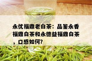 永优福鼎老白茶：品鉴永香福鼎白茶和永德益福鼎白茶，口感如何？