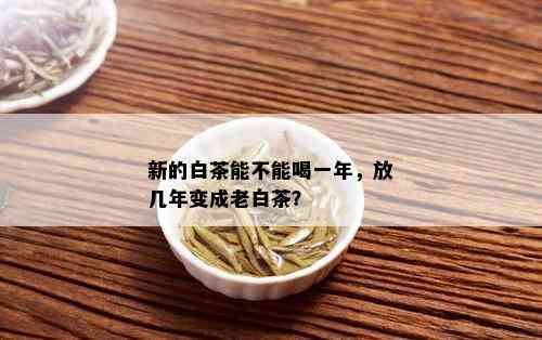 新的白茶能不能喝一年，放几年变成老白茶？