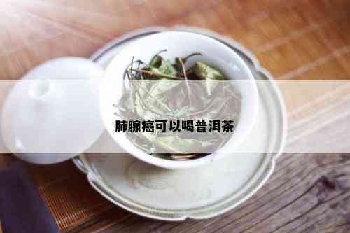 肺腺癌可以喝普洱茶