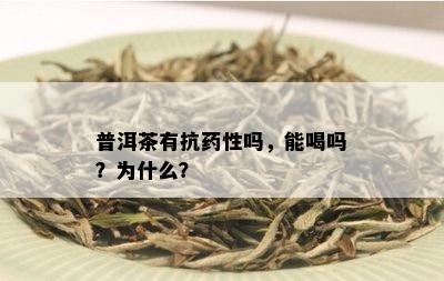 普洱茶有抗性吗，能喝吗？为什么？