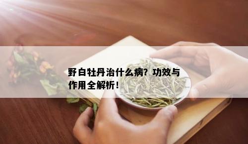 野白牡丹治什么病？功效与作用全解析！