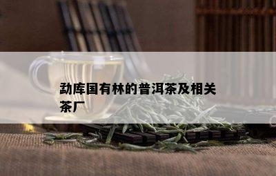 勐库国有林的普洱茶及相关茶厂