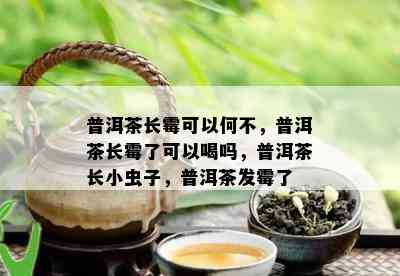 普洱茶长霉可以何不，普洱茶长霉了可以喝吗，普洱茶长小虫子，普洱茶发霉了